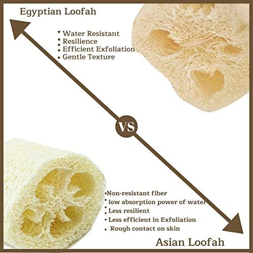 לופה מצרי אחד שלם ספא טבעי של ספוג יופי ספוג גוף גוף קרצף. איכות פרמיום Lofa Loofa Luffa Loffa לפילינג את