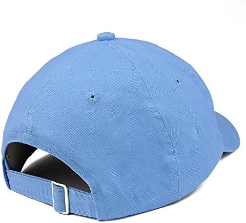 חנות הלבשה אופנתית מישיגן טקסט מתאר מדינה כובע אבא כותנה רקום