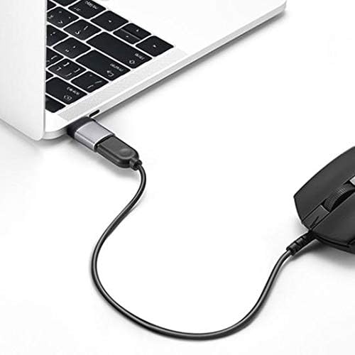 כבל Goxwave תואם למחברת Mobiscribe Origin E-Inkbook-USB-C ל- PortChanger, USB Type-C OTG USB מחזיק מפתח נייד-Slate