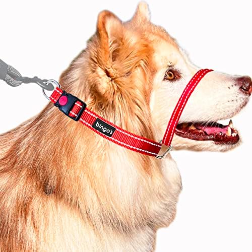 הקליפ האחורי של בינגו עופרת עדינה לכלבים בינוניים. קל לשימוש ללא צווארון כלבים נשלף משקף w. אבזם נעילת בטיחות.