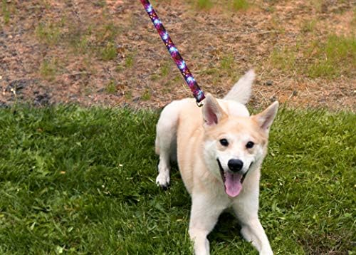 אייל חיית מחמד ללבוש רצועת כלב דלוקס - רצועות מחמד כבדות בדוגמת, מיוצרות בארצות הברית - 1 סנטימטר