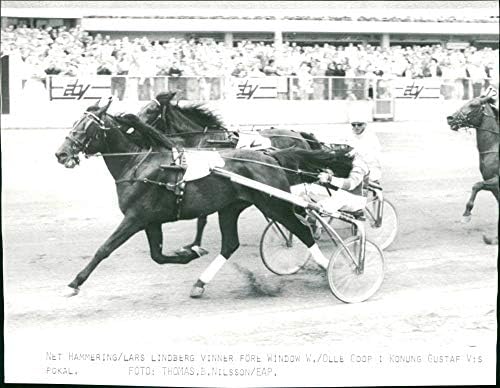 תצלום וינטג 'של לארס לינדברג, פרה פרה וניצחון פטיש סוסים מנצח לפני חלון וו. ואוללה גופ בקינג גוסטף V39;