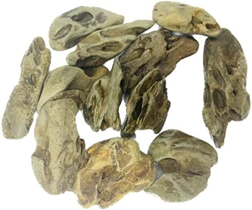 אבן טבעית אקווריום קישוט 4.4 ליברות הדרקון אבן גינון רוק מעורב גדלים עבור מיקרו נוף דגי טנק דקור