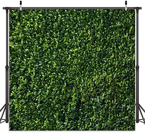 8 * 8 רגל ויניל נושא טבע ירוק עלים רקע לצילום סטודיו אבזרי רקע מסיבת קישוט דשא דשא באנר