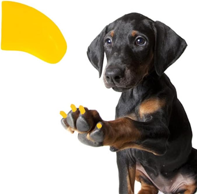 די טפרי 1 שנה אספקת רך נייל כובעי עם דבק עבור כלב טפרי-שמש צהוב