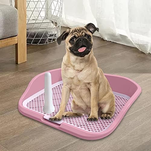 Ｋｌｋｃｍｓ קופסת מלטה לשירותים של כלבים עם כלב עם כלב קטן הגנה על שתן מחצלת LOO כרית לאימוני פיפי אילוף