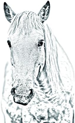 ארט דוג, מ.מ. סוס קמרג, מצבה סגלגלה מאריחי קרמיקה עם תמונה של סוס