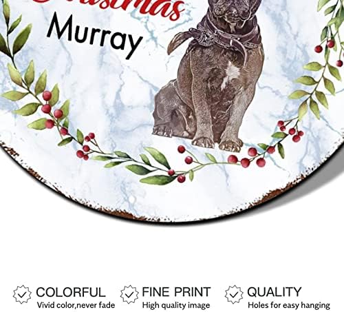 איש שלג של שלג לחג המולד שלט כלב בכובע קרדינלס זר עגול מתכת עגול דלת שלט פח לעיצוב לחג המולד רטרו