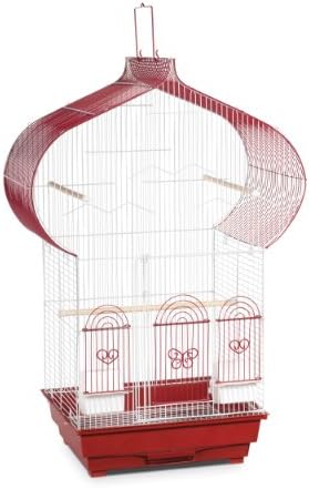Prevue Hendryx Sp1620-1 Casbah Cage, Berry and White, 1/2