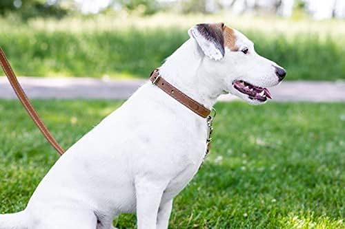 צווארון יורו-כלב יוקרה עור רך מתכוונן צווארון כלבים מתכוונן מיוצר בארצות הברית בסגנון אירופאי משתלם