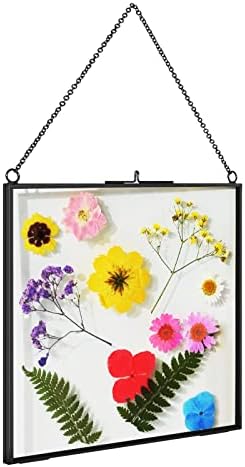 Tlbtek שחור 8x8 אינץ 'פליז תלויה מסגרת תמונה, מסגרת זכוכית כפולה לפרחים לחוצים, צלול DIY יצירות