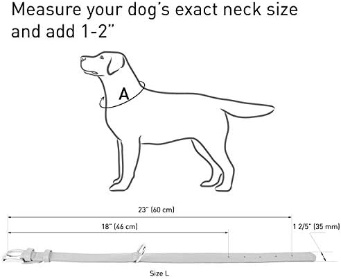 וודוג צווארון כלבי עור רפלקטיבי - צווארוני כלבים עמידים לכלבים קטנים בינוניים כלבים גדולים -