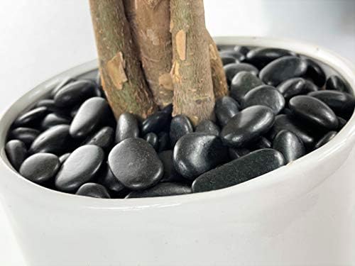 Kayso INC 3/8 חצץ בגודל חצץ סלעים/חלוקי חלוקי חלוק לגינה, קישוט ביתי, טופרי צמחים, חומרי מילוי