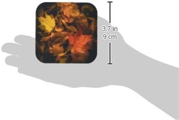 3 ורד_110777_4 עלים נופלים על רצפת היער-תחתיות אריחי קרמיקה, סט של 8