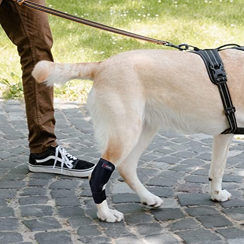 כלב רגל כלב כלב כלב אחורי למשכן משותף סד, עם מתכת אביב, אורחובה למשכן קרסול סד עבור ארוך רגליים לעזור