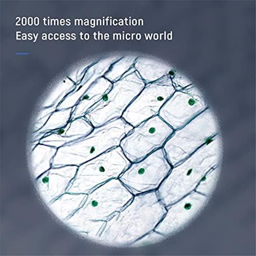 2000 כפול עדשת אלקטרוניקה דיגיטלי מיקרוסקופ טלפון מחשב וידאו מיקרוסקופ עבור מיקרוביאלית תצפית