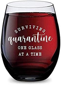 זכוכית יין ללא גזע לשרדות הסגר בבית עשויה מפלסטיק טריטן בלתי שביר ומדיח כלים-16 אונקיות