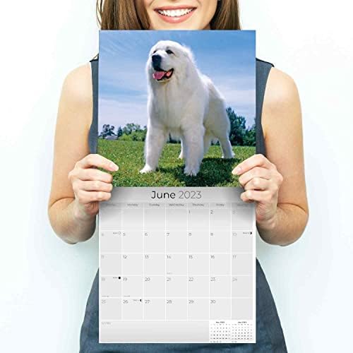 2022 2023 לוח שנה נהדר לפירנאים - גזע כלבים לוח שנה קיר חודשי - 12 x 24 פתוח - נייר עבה ללא דימום - מתנה - לוח