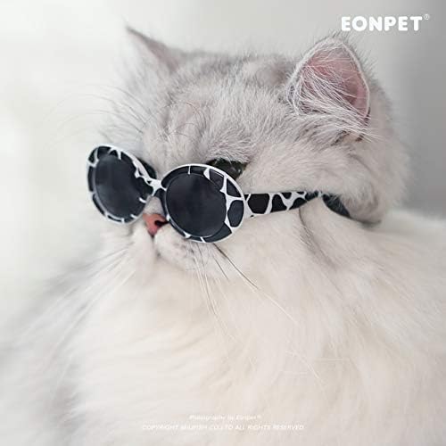 משקפי שמש של חיית מחמד חייזרים של Eonpet, משקפי שמש של חתול וכלב, משקפי משקפי חתול וכלב תמונות אבזרים