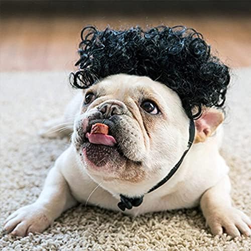 כלב תלבושות מתולתל צמות כיסויי ראש פאות סטיילינג חמוד מצחיק חיות מחמד שיער אבזרים