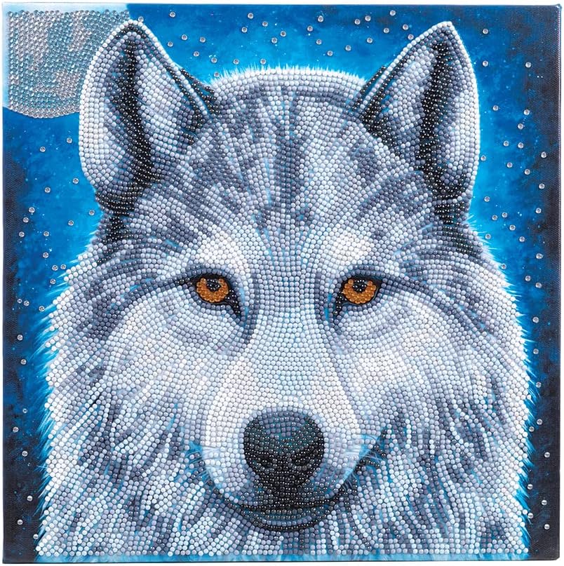 אמנות קריסטל בינונית ממוסגרת ערכת אמנות קיר מורכבת - זאב אור ירח - ערכת ציור יהלומים לגילאי 8 ומעלה