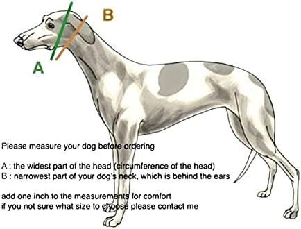 צווארון כלבים של חבורת מרטינגייל מרטינגייל עבור גרייהאונד סלוקי וויפט וגזעים אחרים עם צוואר
