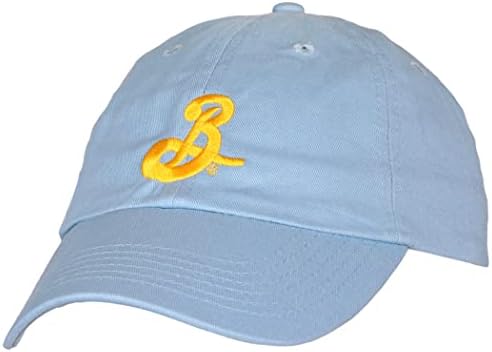 ברוקלין מבשלת קיץ אייל אבא כובע כחול