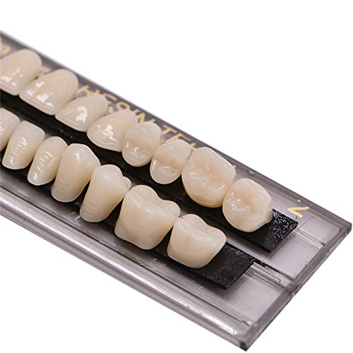 56 PCS שיניים שרף אקרילי שיניים שיניים ערכת שן שווא 23 A2 לשיני אימה של ליל כל הקדושים （2Set