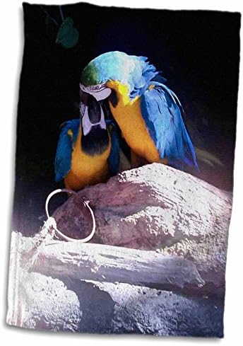 3 דרוז ציפורים של ג'קי פופ - הכנת קואס מוו -כחול וזהב - מגבות