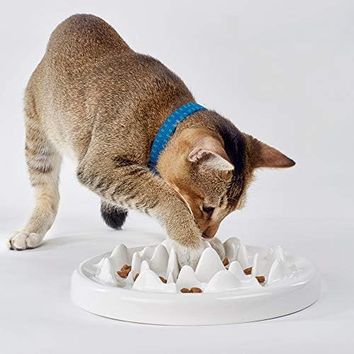 חתול איטי מזין קערה, דוטפט קרמיקה כיף אינטראקטיבי מזין להתפיח להפסיק חתול קערת מניעת מזין אנטי לגימה אכילה בריאה
