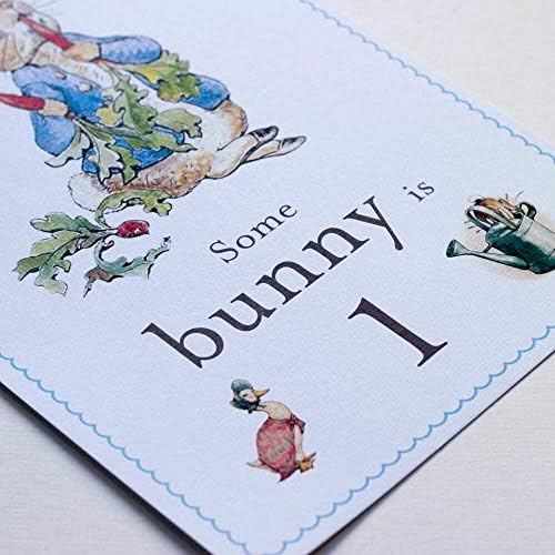 מזל שלט יום הולדת של פיטר ארנב כמה ארנב הוא כרטיס A4 וקול