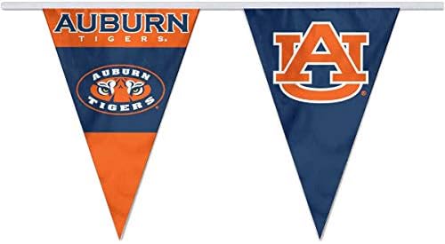 דגלי מיתרי דגלון Auburn