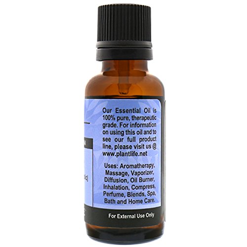 Lavender Lavender Aromatherapy שמן אתרי - היישר מהצמח כיתה טיפולית טהורה - ללא תוספים או חומרי מילוי