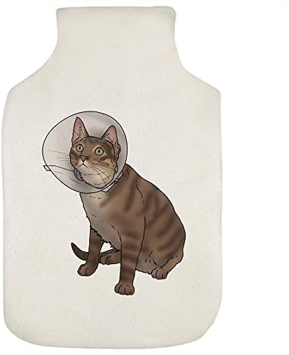 כיסוי בקבוק מים חרוט של Azeeda 'חתול לובש חרוט