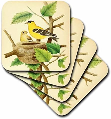 3drose וינטג 'אמנות ציפור הדפסה אמריקאית גולדפינץ' ציפורים צהובות יפהפיות. - תחתונים