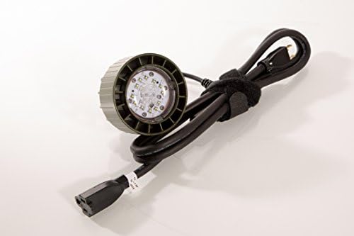 Batlite M2 LED LED - כמעט בלתי ניתן להריסה - קמפינג - ציד - דיג - פרפר - הישרדותי - יעיל באנרגיה - עמיד -