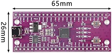 Rakstore W806 Microcontroller 240MHz 5-8Bit STM32 לוח פיתוח IoT CHIP CDK סביבת פיתוח סביבת כוח נמוך IoT