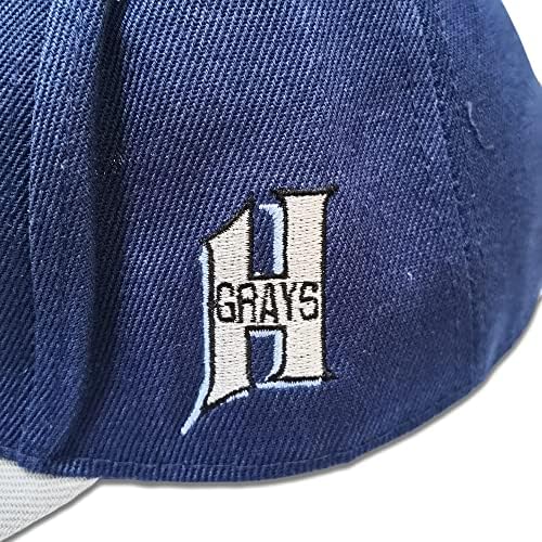 ג ' וש גיבסון 20 בייסבול כובעי אפורים כושי לאומי ליגת הומסטד אבא כובע עבור ספורט רקום