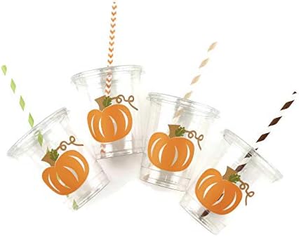 כוסות דלעת תפוזים - 12 CT לילדים מסיבת יום הולדת או מקלחת לתינוק דלעת קטנה