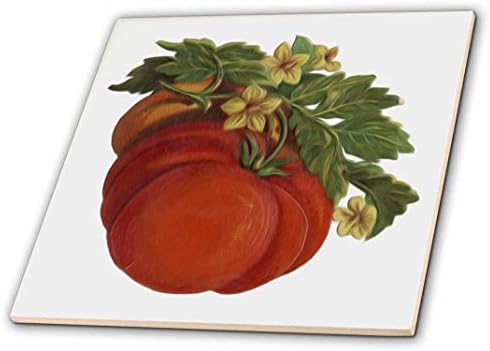 תעשיות סטופל מפורטות ציור אגס ירוק פירות דומם דומם, עיצוב מאת סאלי שפרינגר גריפית '